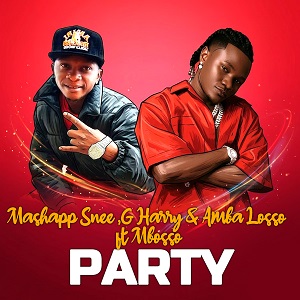 Mashapp Snee