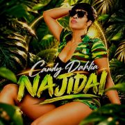 Najidai