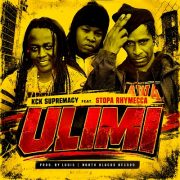 Ulimi
