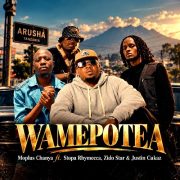 Wamepotea